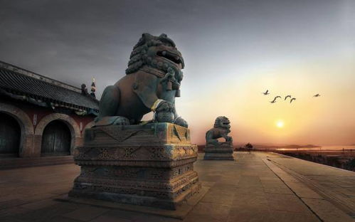 史學(xué)教授聯(lián)袂推薦的漫畫書 讓歷史在貞奇文化中“活”過(guò)來(lái)